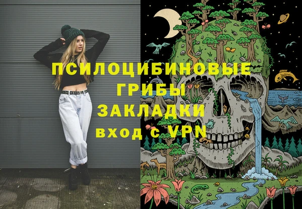 хмурый Алзамай