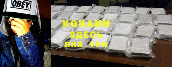 хмурый Алзамай